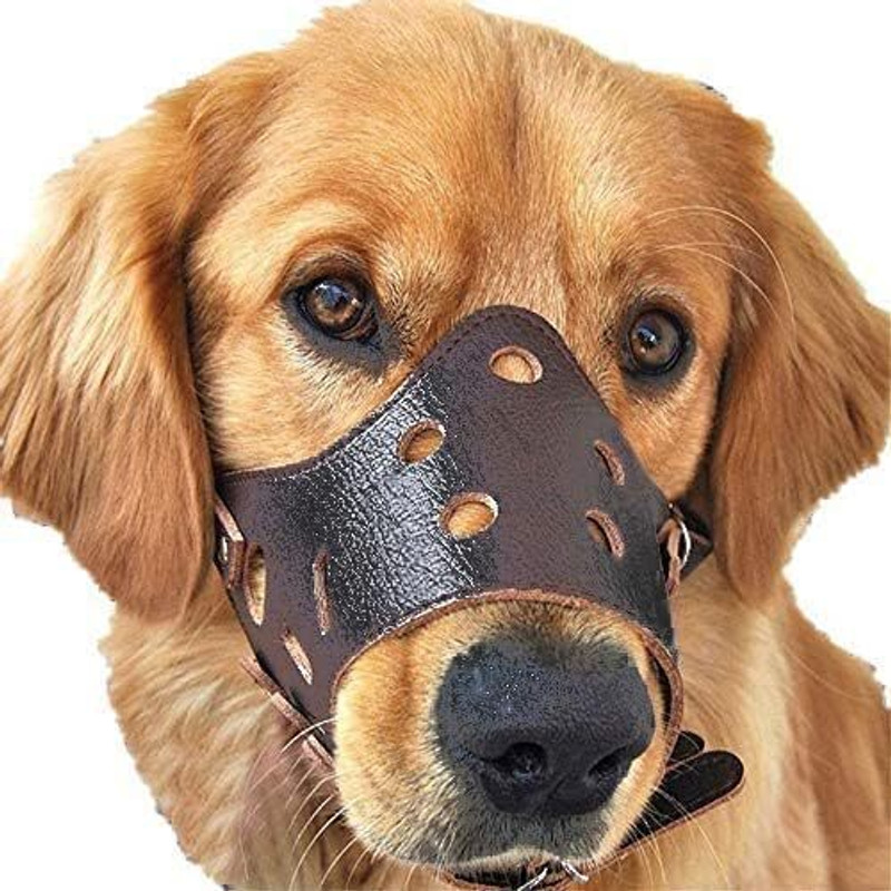 OM ZEE PU Dog Muzzle for Aggressive Behavior Prevention Medium Other Dog Muzzle(MULTICOLOR)