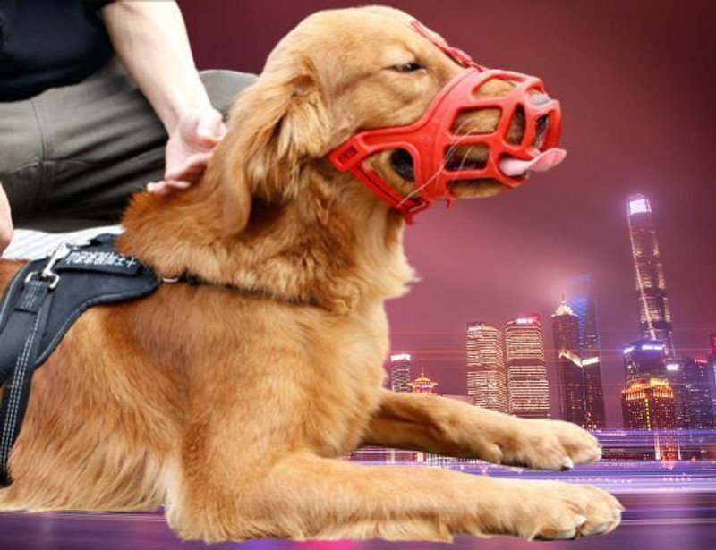KarePaws (check size)X-tra large dog rubber Dog Muzzle Cage Mouth cover Extra Large Strips Dog Muzzle(Red)