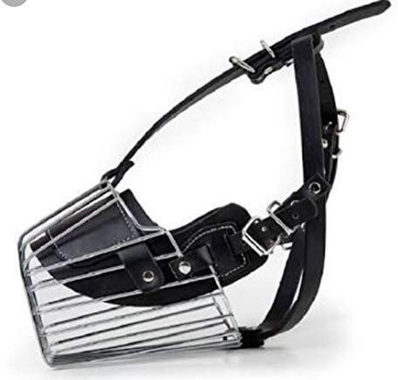 Pet Guard Muzzle Cum Mouth Cover Cum Basket Cage (Large) Large Strips Dog Muzzle(MULTICOLOR)