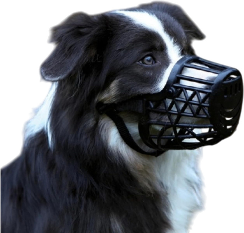 AKEnnterprises 5No Dog Basket Muzzle Plastic,Anti-Bark & Anti-Bite Muzzle with Adjustable Strap Large Other Dog Muzzle(Black)