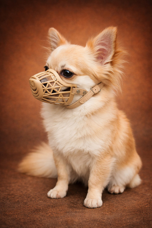 AKEnnterprises 3NO Plastic Dog Muzzle | Adjustable Pet Basket Masks | Dogs Training Mouth Cover Small Other Dog Muzzle(Brown)
