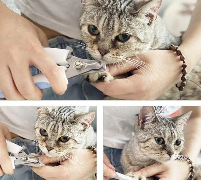 KesariNandan Guillotine Nail Clipper(For Dog & Cat)