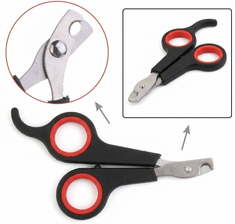 Petshop7 Scissor Nail Clipper(For Dog, Cat, Monkey, Bird)