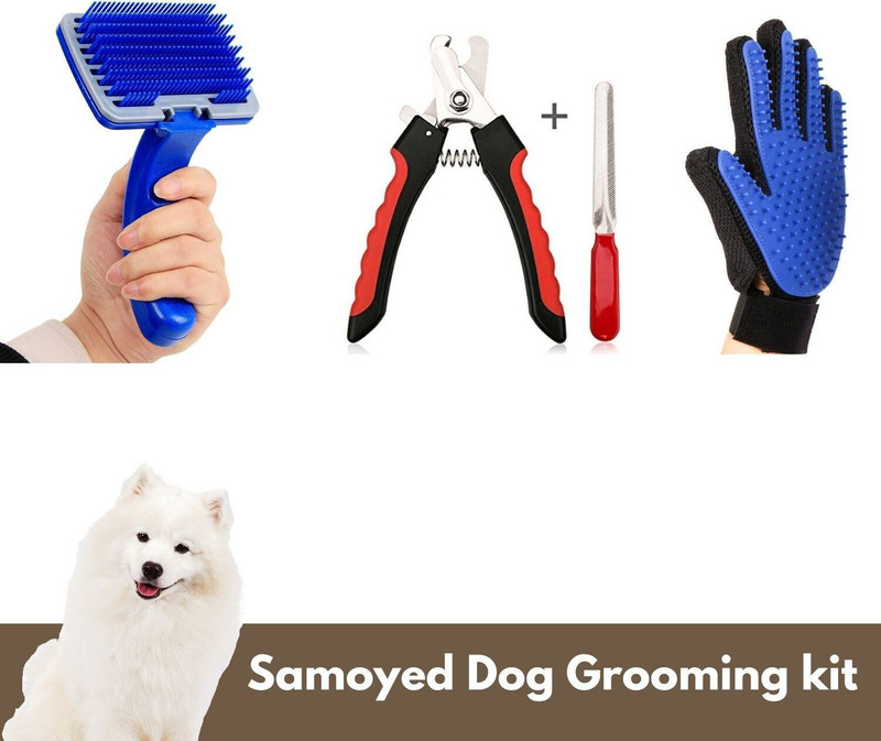 Regiis Grinder Nail Clipper(For Cat)