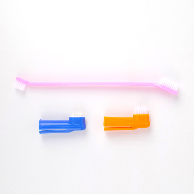 house of common HOCT Pet Toothbrush(Dog, Cat)