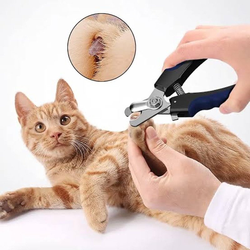 Tail & Collar Club Scissor Nail Clipper(For Dog, Cat, Donkey, Monkey, Rabbit, Bird, Horse)