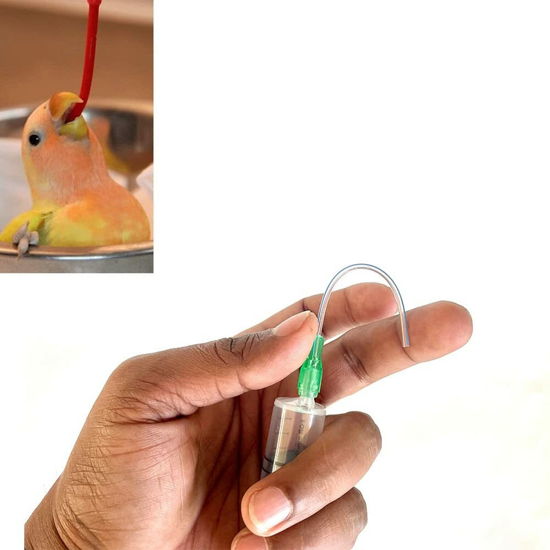 Cj farms and agritech 12 ml Bird Hand Feeding Syringe with Soft Needle Pet Nursing Kit