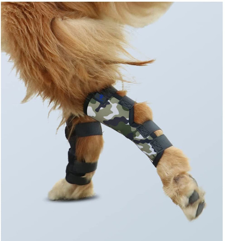 A+a pets Hock Joint, Leg Braces, Protective Compression Wrap for Front & hind Legs Pet Pad Holder(Multicolor)