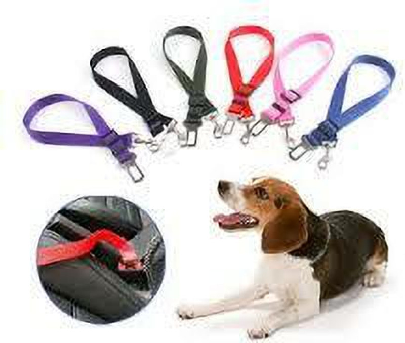 BLESSING PET PRODUCT blessingcarpetbelts0230 Pet Seat Belt(Medium)