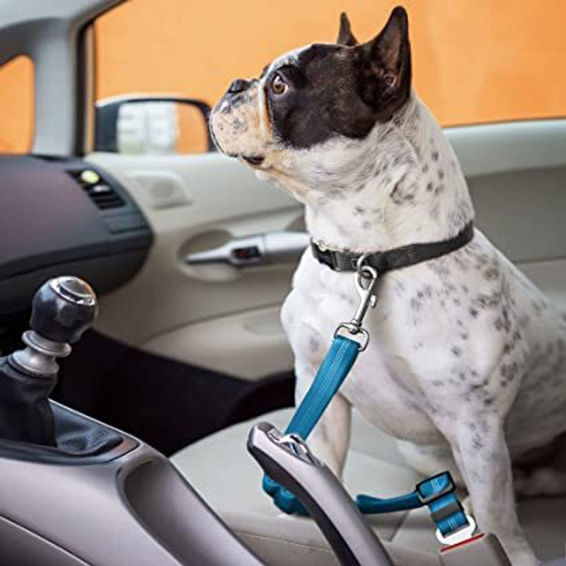 BLESSING PET PRODUCT PACK OF 2 PCS DOG CAR SEAT BELTS Pet Seat Belt(Large)
