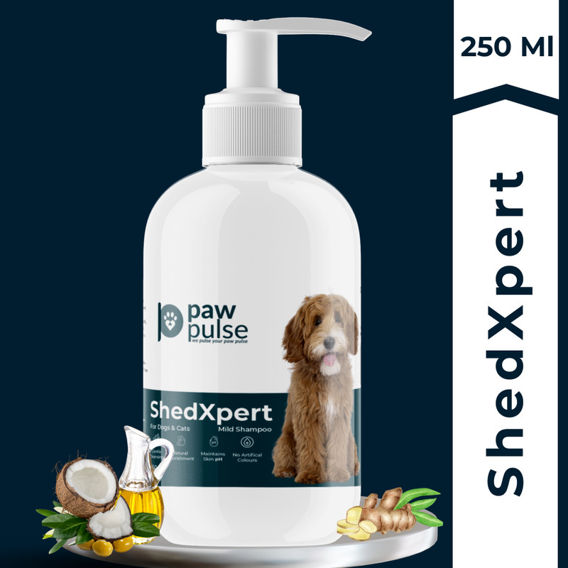 Pawpulse ShedXpert Natural Shed Control Shampoo for Dogs and Cats 250ml, Gentle Cleanser Whitening and Color Enhancing, Conditioning, Anti-Bacterial, Anti-itching , Mixed Berries Fragnance, Cat, Dog Shampoo(250 ml)