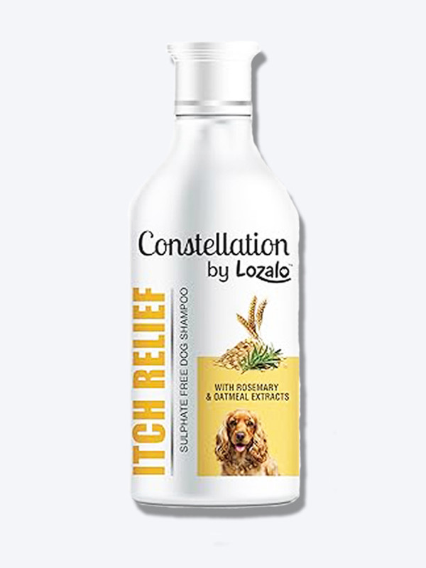 Lozalo Constellation ITCH RELIEF Dog Anti-itching Shampoo With the goodness of ROSEMARY & OATMEAL Dog Shampoo(375 ml)
