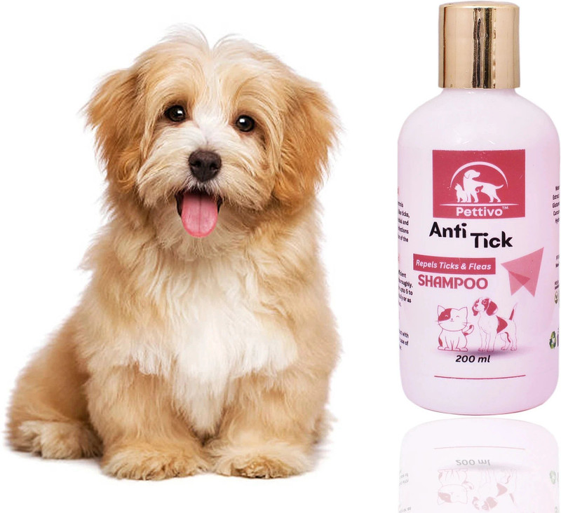 Pettivo Anti-Tick and Flea Shampoo Flea and Tick Mixed Fruit Fragrance Dog Shampoo(200 ml)