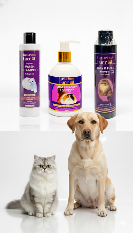 LUXURIOUSFURR Conditioning, Flea and Tick GREEN TEA, CHOCLATE, CITRUS Cat, Dog Shampoo(700 ml)