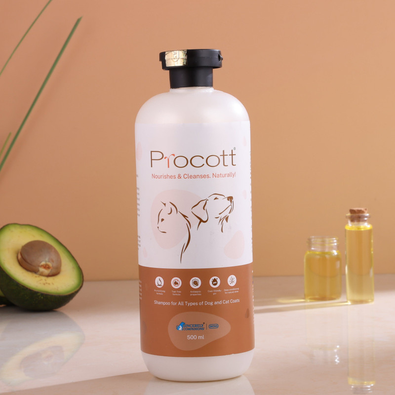 Procott INTAS Dog Shampoo (Fresh & Natural Coat) Conditioning Fresh Dog Shampoo(275 ml)
