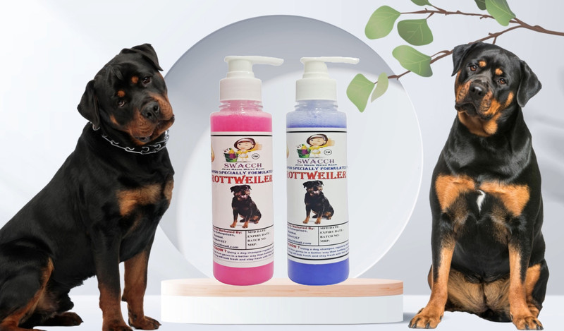 swacch Premium Shampoo For Rottweiler (200ml) (Combo Pack of 2) Conditioning Rose, Lavender Dog Shampoo(400 ml)