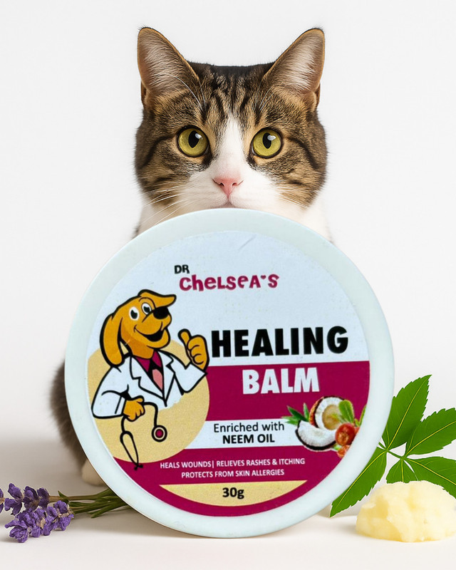 Ektek Biocare Healing Balm/Cream for Persian Cat For Rashes, Itching & Allergies Pet Spa Kit