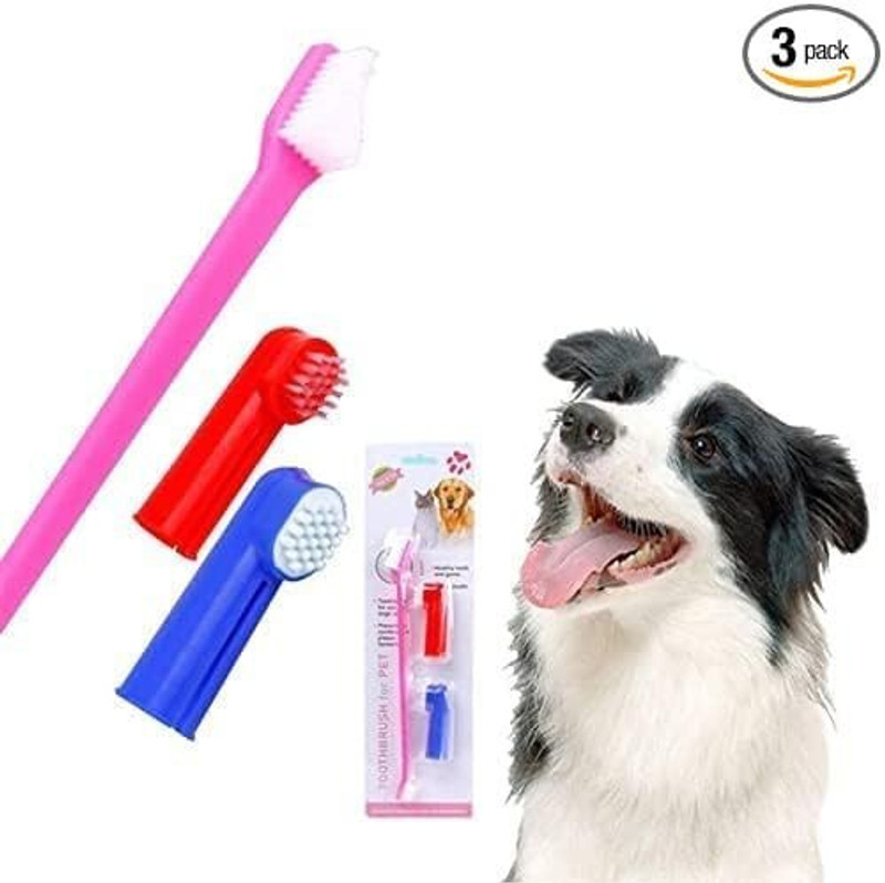 SWARACOLLECTION Pet 0001 Pet Toothbrush(3-Piece Pet Toothbrush Set (Dog & Cat Oral Care Kit))