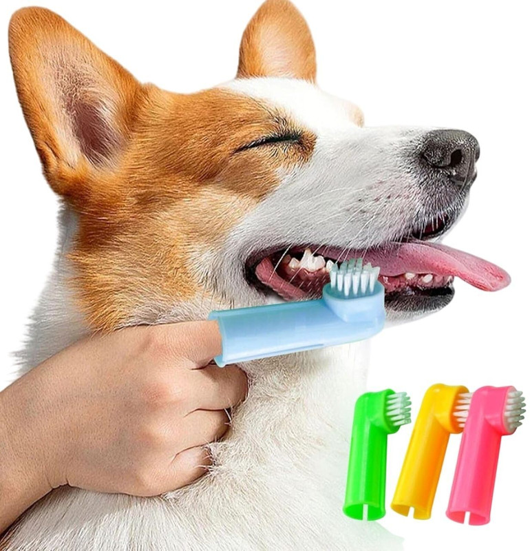 Amerchants ptbrsh_s Pet Toothbrush(dogs, cats)