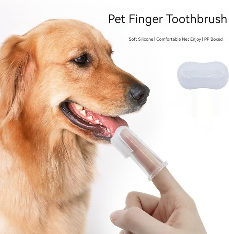 Daily Fest 2 Units Pack Pet Finger Toothbrush for Dogs Pet Toothbrush(Dog)