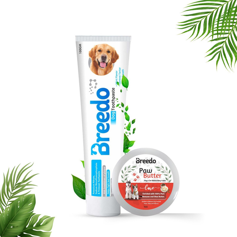 Breedo TOOTHPW0MN3 Pet Toothbrush(Dog & Cat, Rabbit, Hampster, Monkey, For All Pets)
