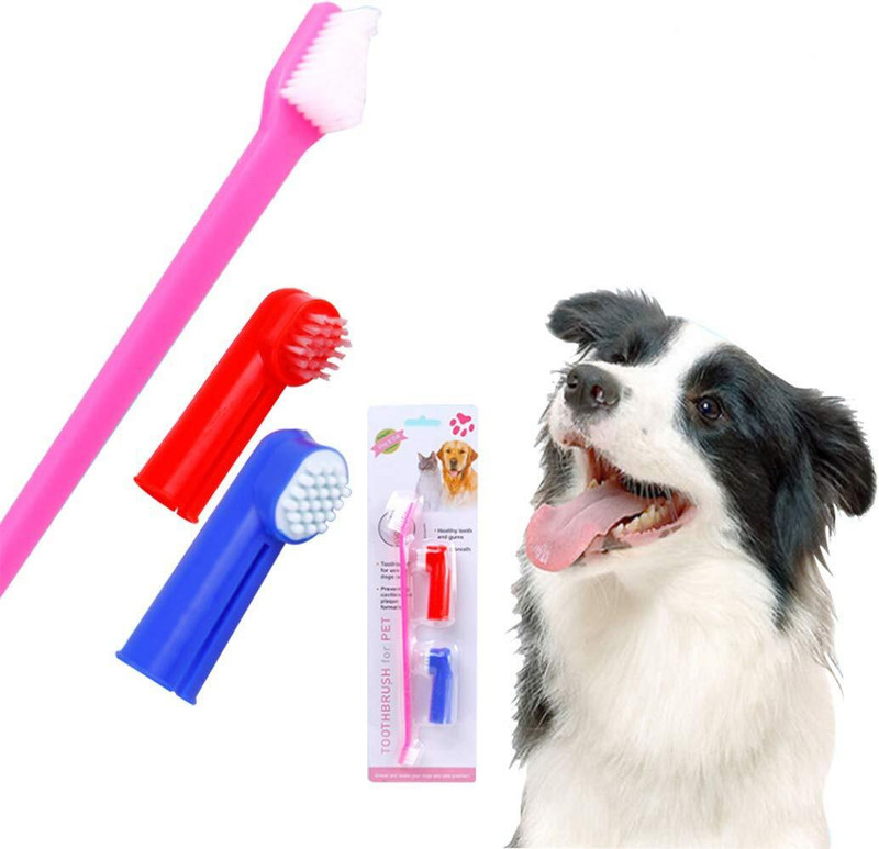 starprim DOG TEETH CLEANING BRUSH Pet Toothbrush(Dog, Cat, Rabbit)