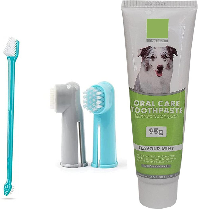 Pet Needs Mint Flavor Dog Toothpaste 95g With Cleaning Dental Toothbrush Pet Toothbrush(Dog)