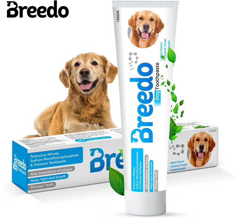 Breedo Cool Mint Toothpaste for Dogs - 100g |Soothing Mix of Mint and Cinnamon Oil Pet Toothpaste(For dogs and Puppies)