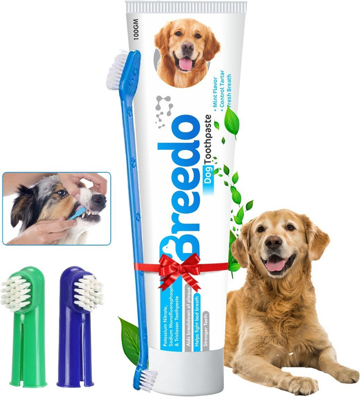 Breedo Cool Mint Toothpaste and 3Pcs Pet Toothbrush Combo for Dogs - 100g | Pet Toothbrush(For Dogs, Cat, Hampster, All Other Pets)
