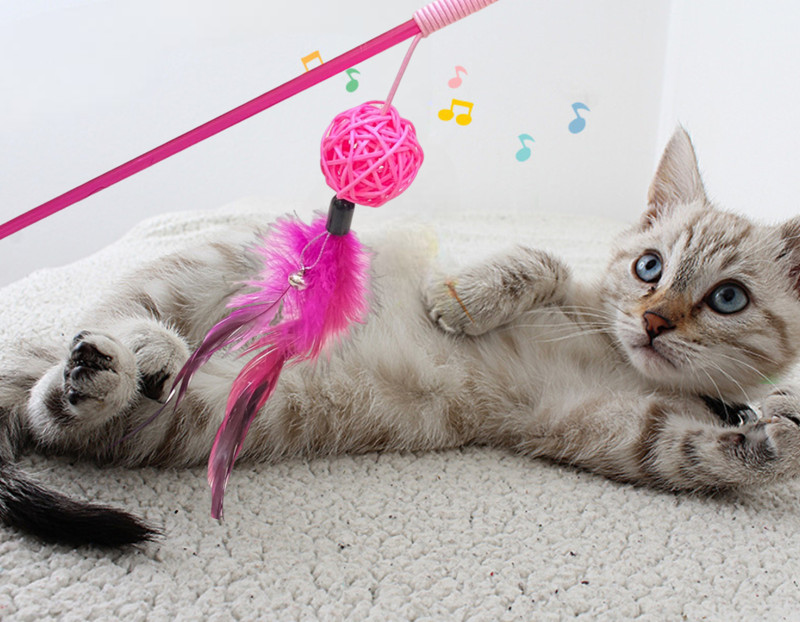 Pet Guard Cat Feather Toys Pack Interactive Cat feather Teaser Wand Toys, Plastic Treat Dispensing Toy For Dog & Cat