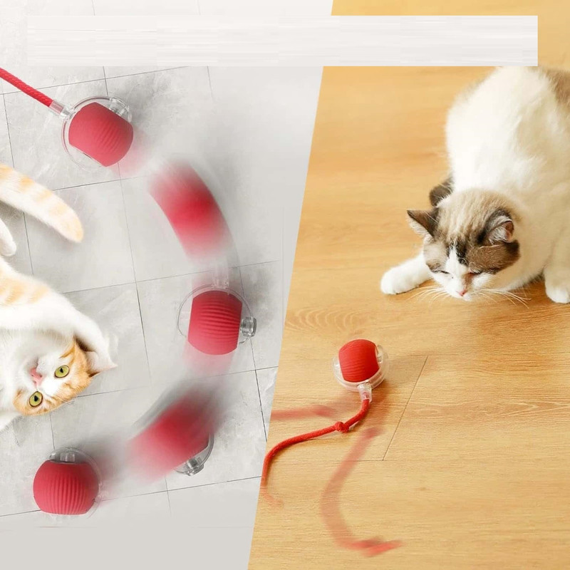 Jishnu Agirav Cat Ball Toy, New Automatic Premium Smart Self Rolling Silicone, Plastic Ball For Dog & Cat