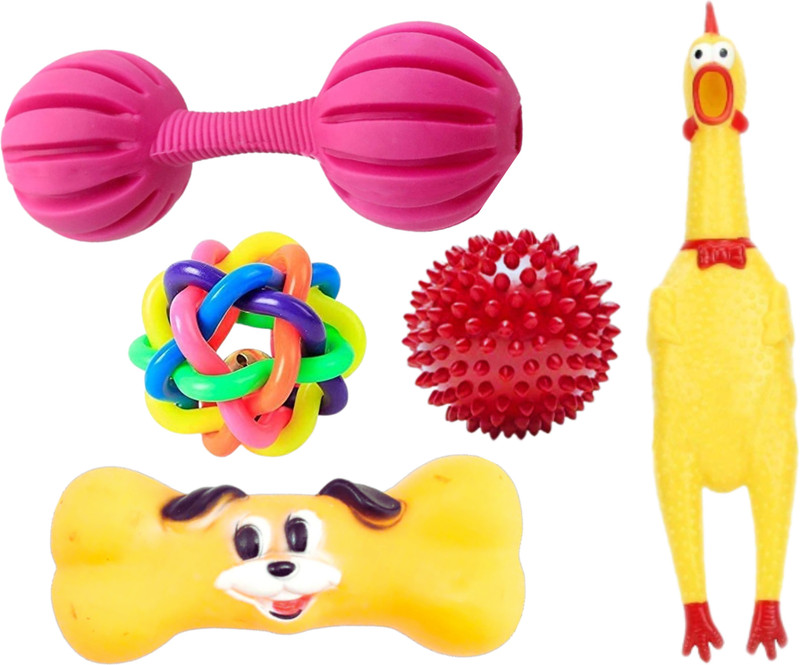 DogTrust Dog Chew Toys Suitable For All breeds Rubber, PP (Polypropylene) Chew Toy, Squeaky Toy, Rubber Toy For Dog