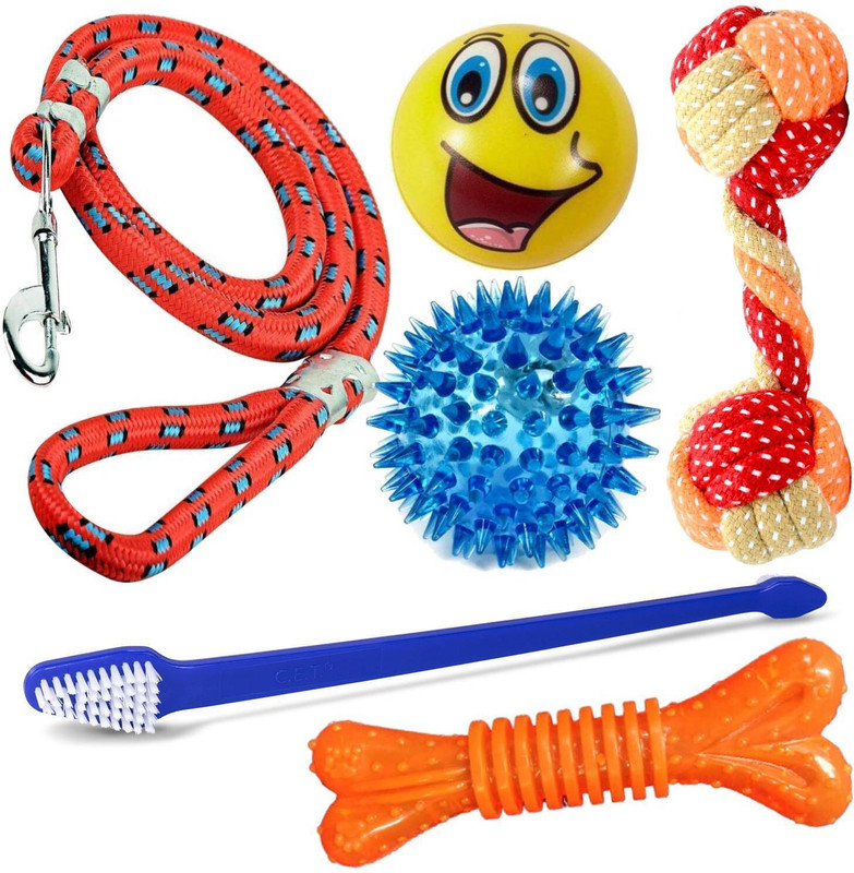 PETZLUV 6-in-1 Dog Toys & Grooming Kit – Dog Leash + Chew Toys, Toothbrush & Spike Ball Rubber Ball, Bone, Fetch Toy, Tug Toy, Training Aid, Chew Toy For Dog
