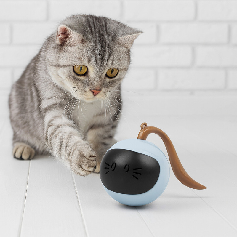 Moforoco Automatic 360° Rotating LED Toy for Indoor Cats & Kittens Plastic Ball For Cat