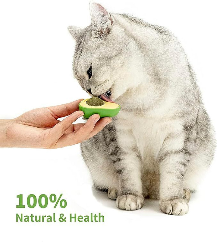 YMS Interactive Cat Toy Cat Nip Silvervine Mint Cat Lickable Treat Cat Dental Toy Plastic, PP (Polypropylene) Soft Toy, Training Aid For Cat