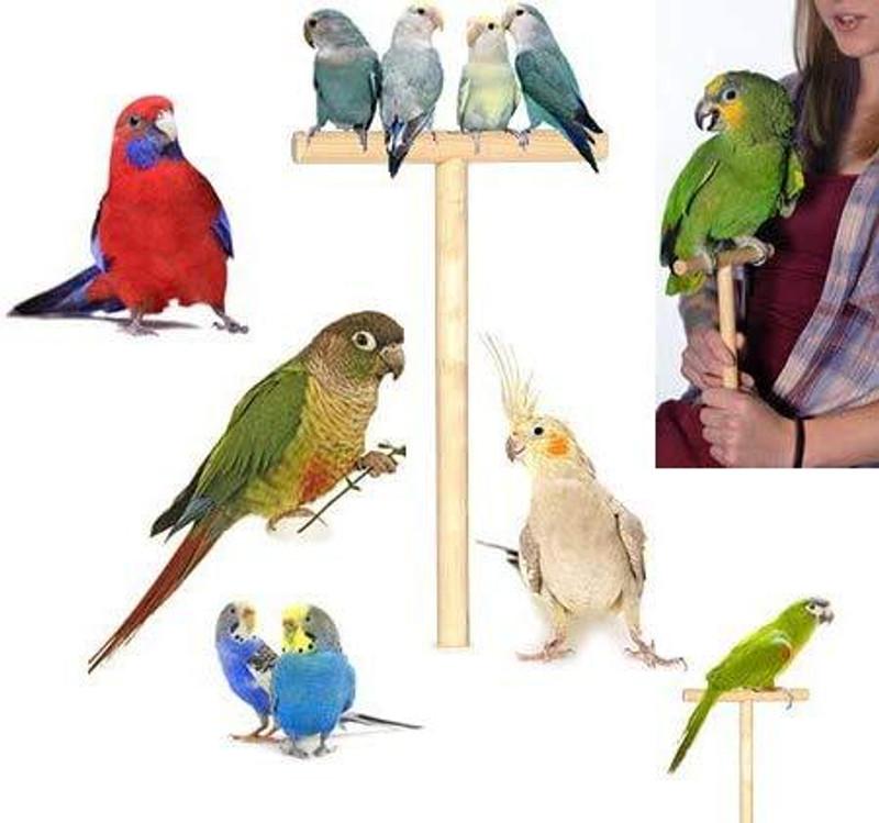 Western Era Hand Held Stand for Handling, Taming & Training for Small, Medium & Large Birds Wooden Training Aid, Stick, Tough Toy For Bird