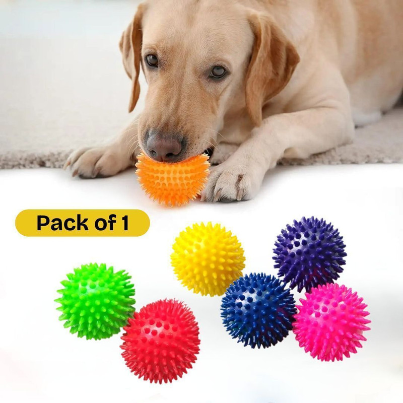 Petsoft Squeaky Spiky Rubber Ball for Dogs – Interactive Chew & Play Toy Rubber Ball, Squeaky Toy For Dog