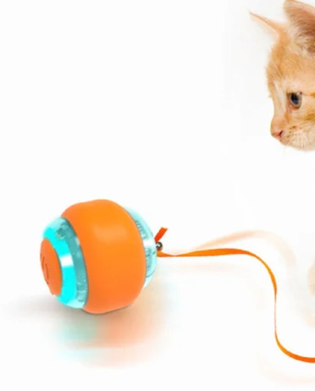 Pet Guard Silicone Training Aid For Dog & Cat