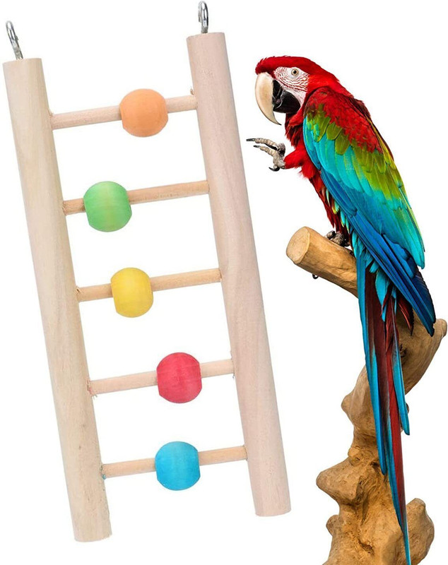 Western Era Plastic Training Aid, Tough Toy For Bird
