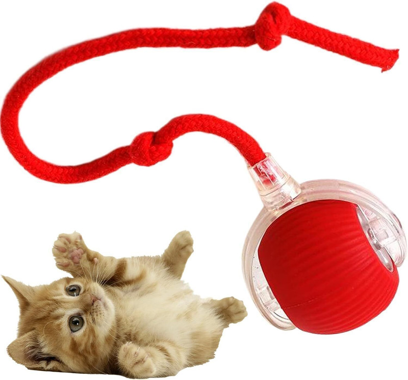 Calldrishe Interactive Cat Toy - Cat Toys for Indoor Cats Smart Chewie Viral Rolling Ball Silicone Ball For Cat