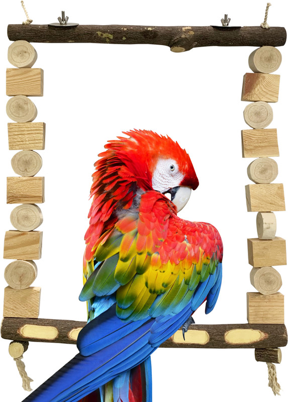 CONGO NATURAL PARROT TREAT 18X24 Inch Wooden Decorative Swing Toy Wooden Training Aid For Bird
