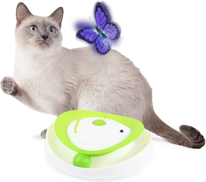 DogTrust Plastic Fetch Toy For Cat
