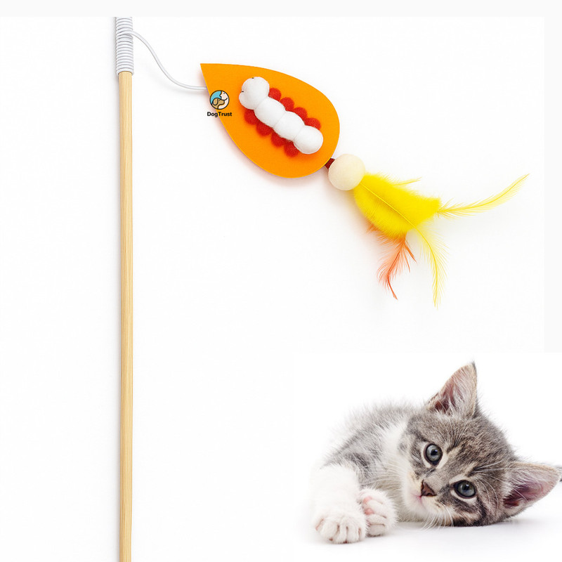 DogTrust Interactive Playing Stick Toy Wooden Rod with Feather and Cats and Kitten Wooden Training Aid For Cat