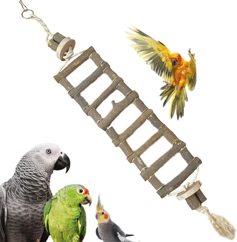 CONGO NATURAL PARROT TREAT Wooden Chew Toy For Bird