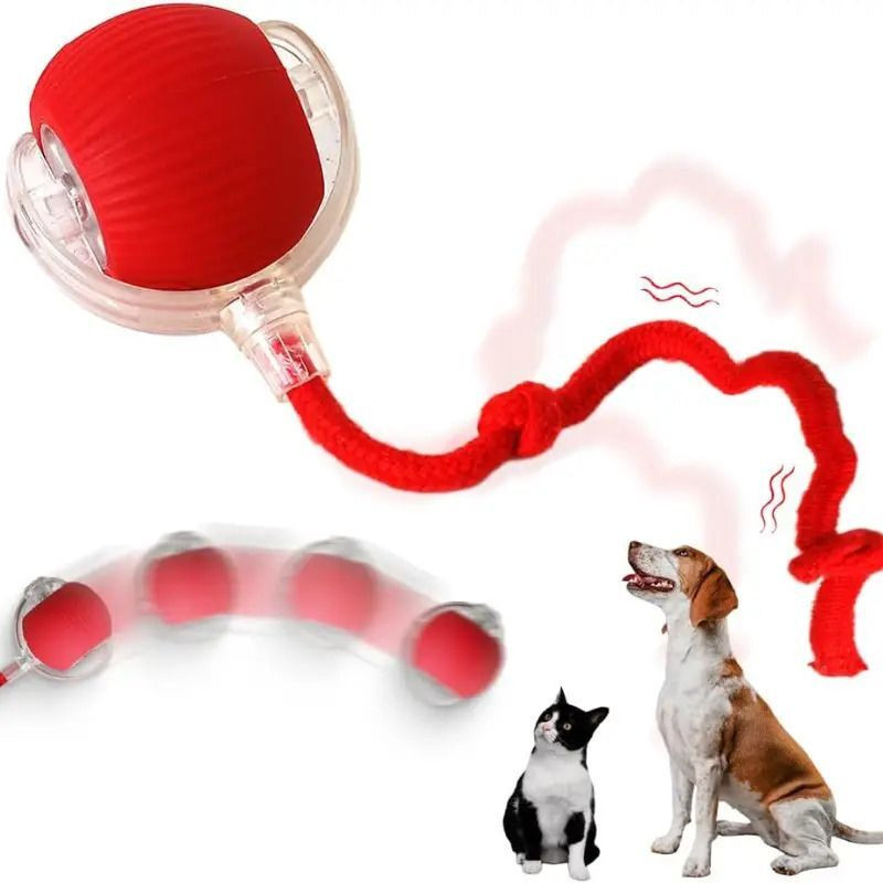Pamidhar Rolling Cat Toy,Rolling Dog Toy,Smart Pet Ball Toy Automatic 360° Rolling Chase Plastic Ball, Soft Toy, Training Aid, Chew Toy For Cat