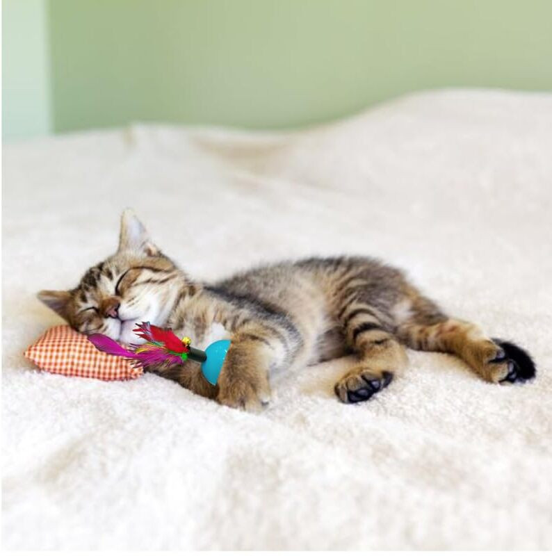 DogTrust Cat Interactive Colorful Feather Pet Toy Plastic Fetch Toy For Dog & Cat