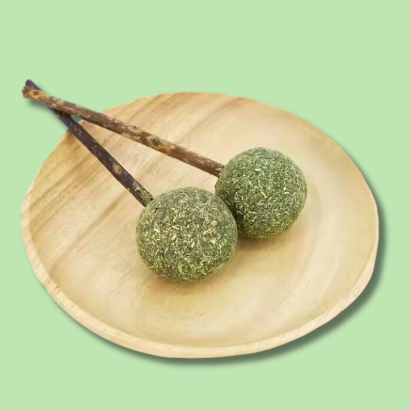 Petfun Catnip Mint Treats Balls Toy Earthenware Ball For Dog & Cat