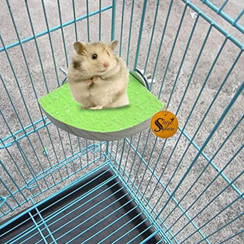 Sage Square Natural Wood Platform of Sand, Healthy Nail, Teeth Trimming of Hamster (8inch) Wooden Training Aid, Stick For Hamster