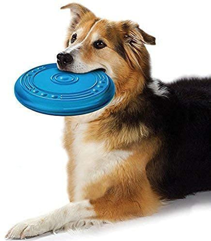 Rvpaws Dog game flying silicone discs resistant chew puppy training interactive toy Rubber Training Aid For Dog