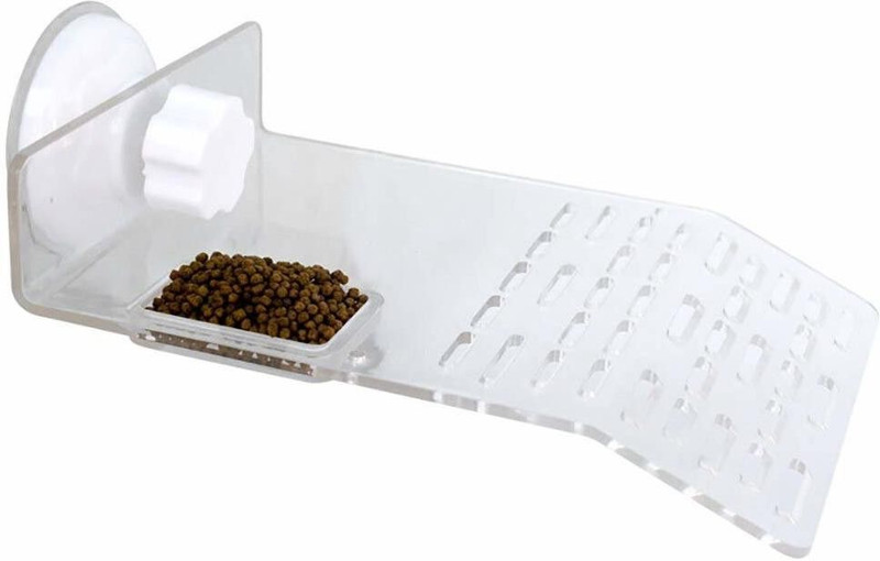 Sage Square Plastic Training Aid For Turtle